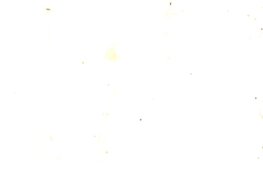Image 62